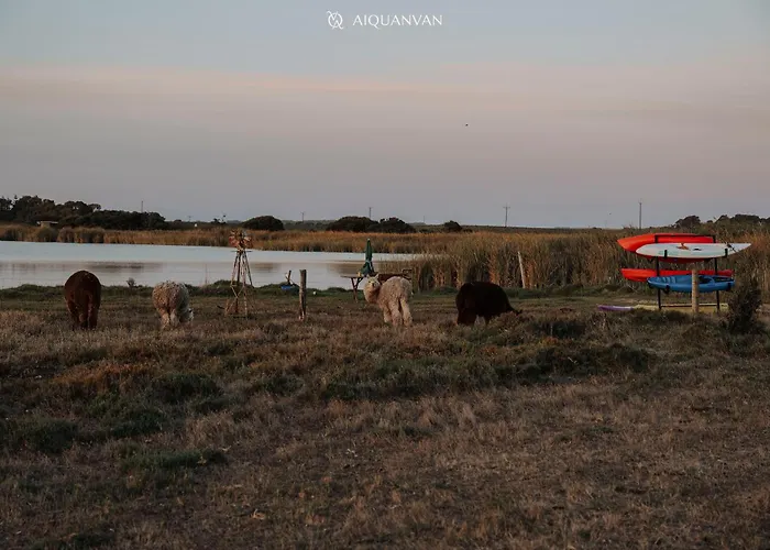 Coorong Island Retreat - Farm Stay At Pet Friendly Property