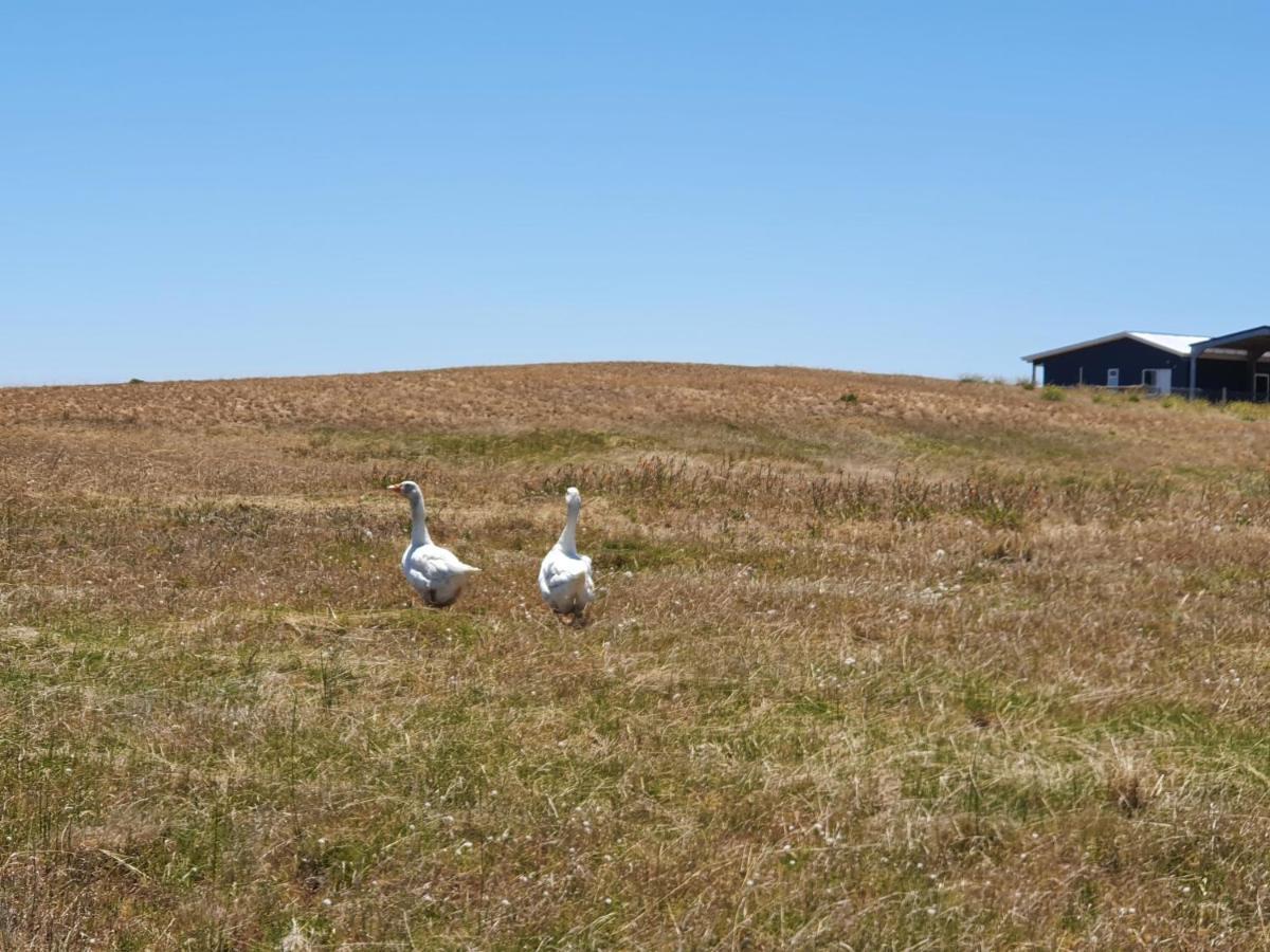 Coorong Island Retreat - Farm At Pet Friendly Meningie