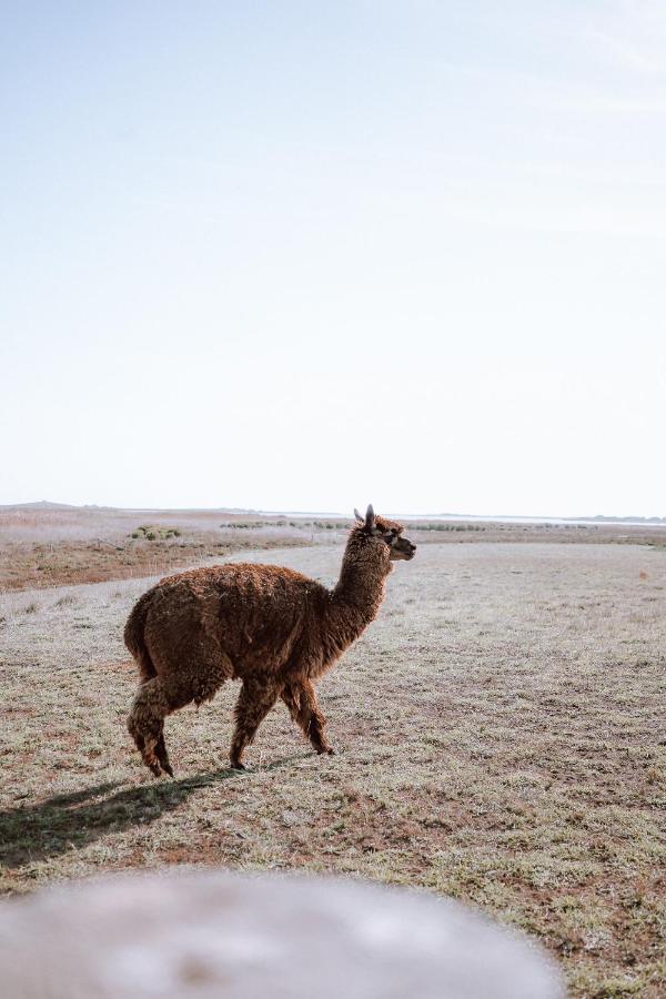 Coorong Island Retreat - Farm At Pet Friendly