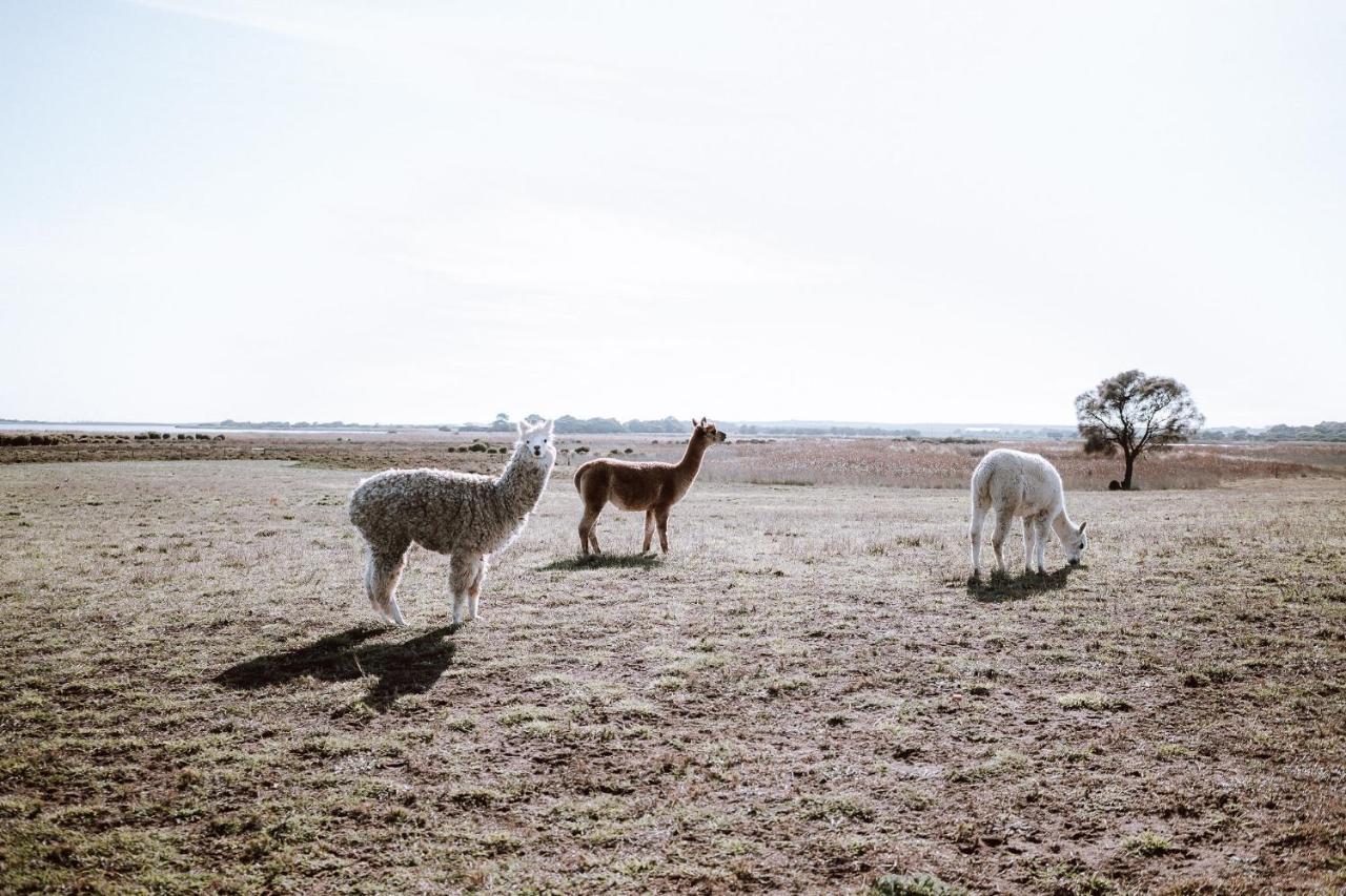 Coorong Island Retreat - Farm At Pet Friendly * Meningie