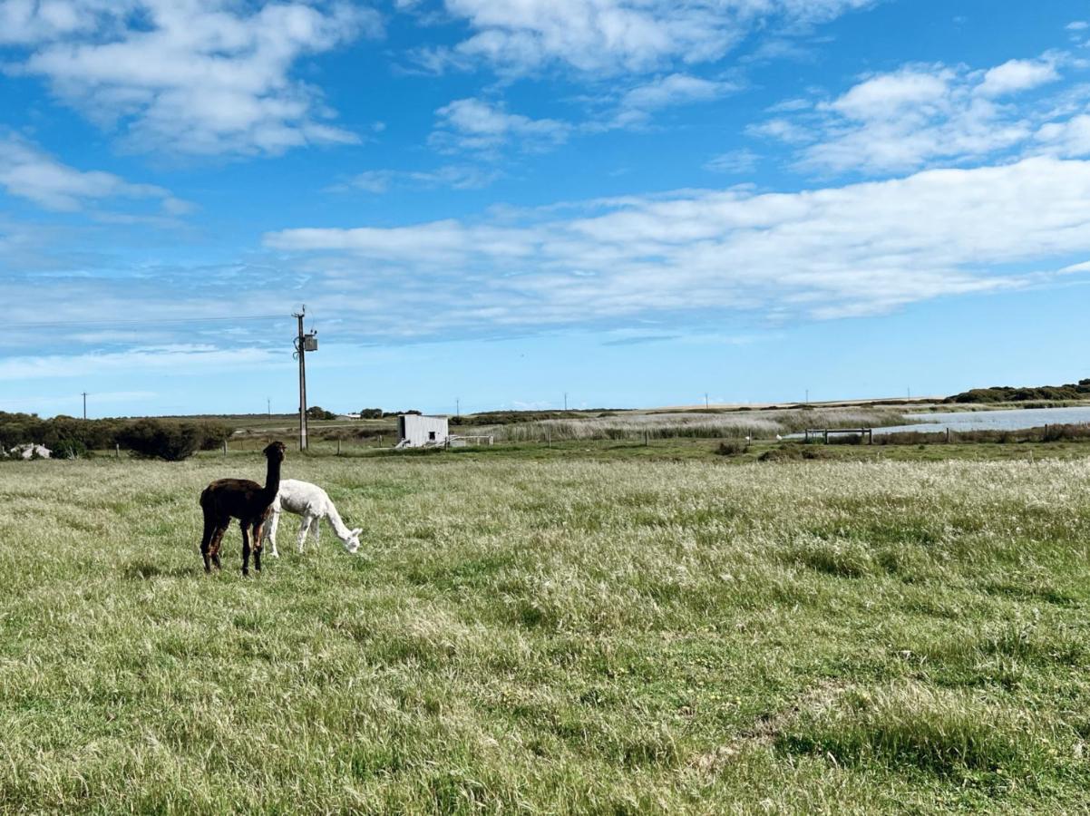 Holiday home Coorong Island Retreat - Farm At Pet Friendly *