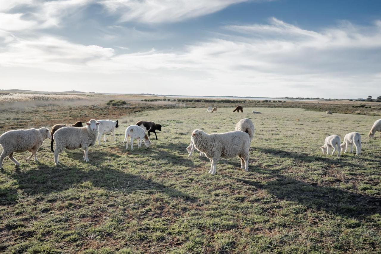 Coorong Island Retreat - Farm At Pet Friendly Meningie